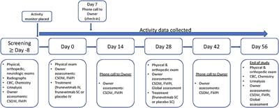 Efficacy and Safety of an Anti-nerve Growth Factor Antibody (Frunevetmab) for the Treatment of Degenerative Joint Disease-Associated Chronic Pain in Cats: A Multisite Pilot Field Study